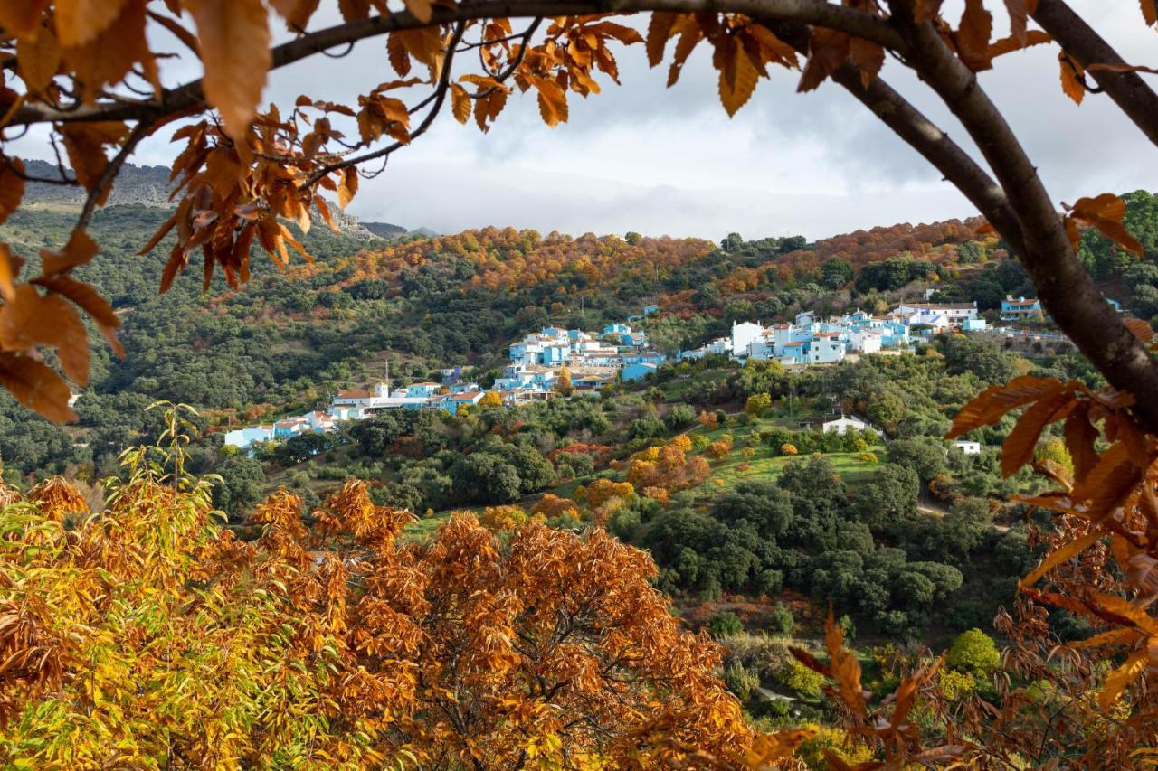מלון Júzcar Secret Garden Retreats מראה חיצוני תמונה